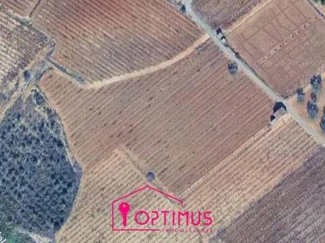 Terreno en Venta en Turís