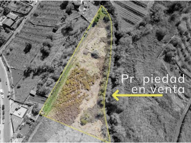 Terreno en Venta en Tacoronte