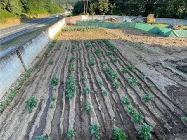 Terreno en Venta en Taboadela