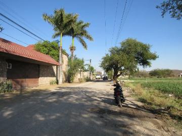 Terreno en venta en Tabachines, Yautepec, Morelos
