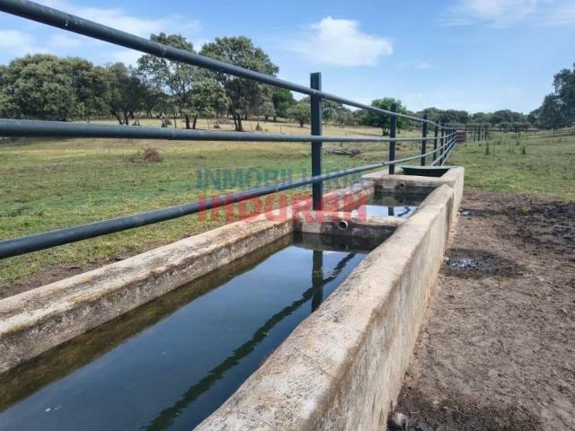 Terreno en Venta en Talaván
