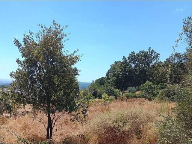 Terreno en Venta en Talaveruela de la Vera