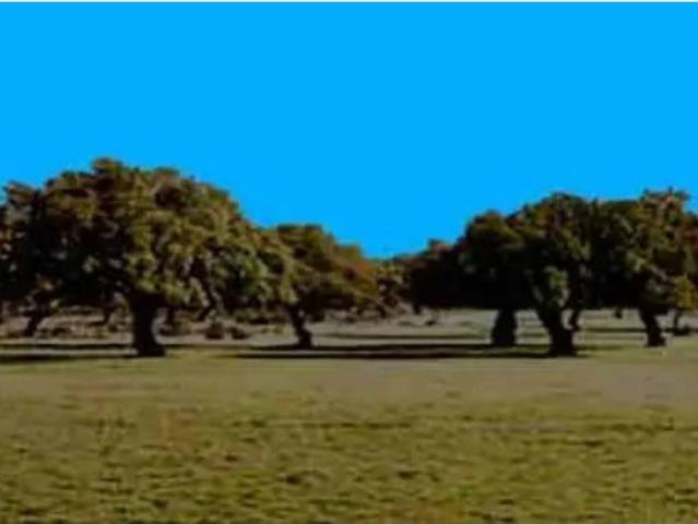 Terreno en Venta en Talavera de la Reina