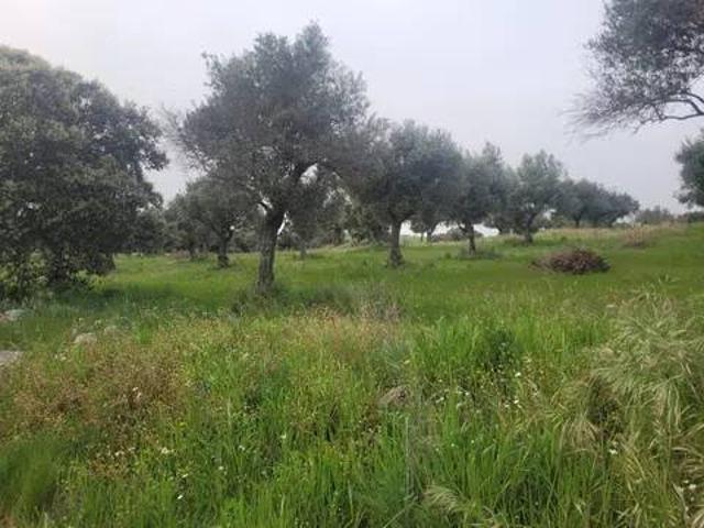 Terreno en Venta en Talavera de la Reina