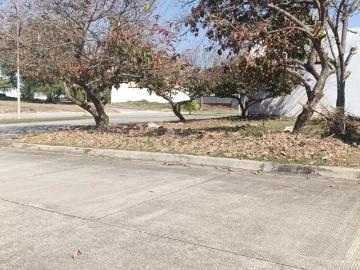 TERRENO EN VENTA EN TAPACHULA