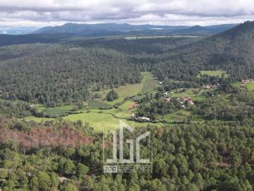 TERRENO EN VENTA EN TAPALPA A LADO DE BOSQUES DE LA CA?ADA