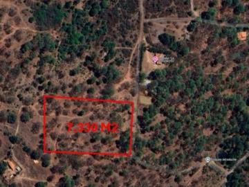 Terreno en Venta en Tapalpa Excelente oportunidad de inversión