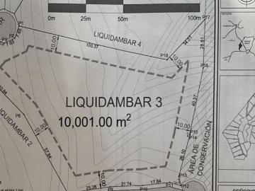 Terreno en Venta en Tapalpa – Fraccionamiento Mazati