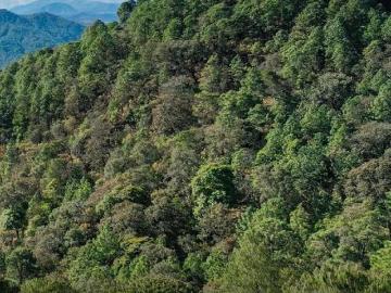 Terreno en venta en Tapalpa, Tapalpa Centro Jalisco