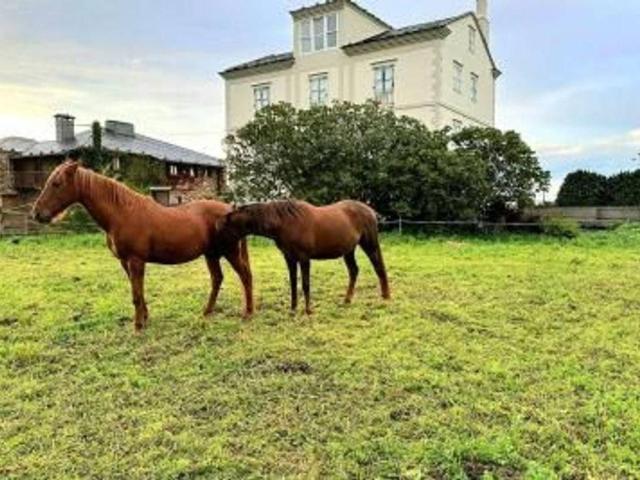 Terreno en Venta en Tapia de Casariego