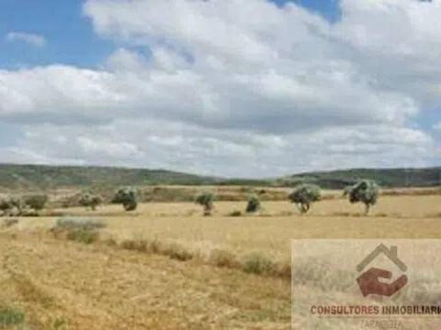 Terreno en Venta en Tarazona