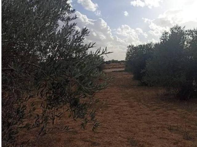 Terreno en Venta en Tarancón