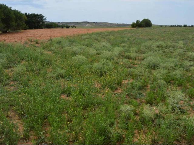 Terreno en Venta en Tarancón