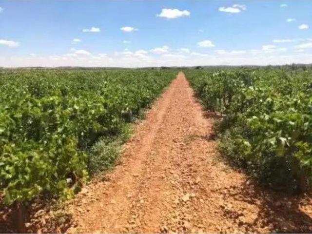 Terreno en Venta en Tarancón