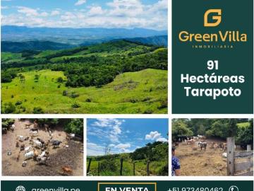 Terreno en Venta en Tarapoto Cuñumbuqui San Martin