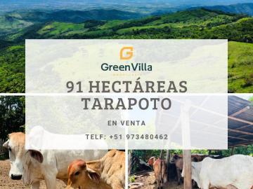 Terreno en Venta en Tarapoto Cuñumbuqui San Martin