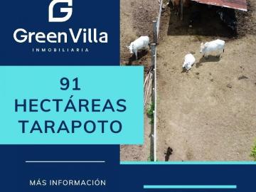 Terreno en Venta en Tarapoto Cuñumbuqui San Martin