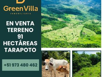 Terreno en Venta en Tarapoto Cuñumbuqui San Martin