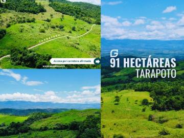Terreno en Venta en Tarapoto San Martin