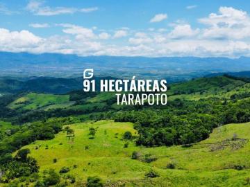 Terreno en Venta en Tarapoto San Martin