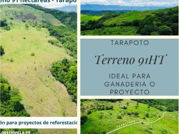 Terreno en Venta en Tarapoto San Martin