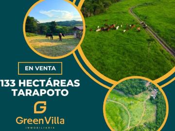 Terreno en Venta en Tarapoto San Martin