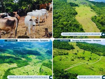 Terreno en Venta en Tarapoto San Martin