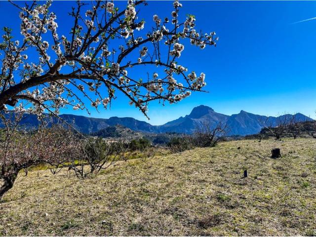 Terreno en Venta en Tárbena