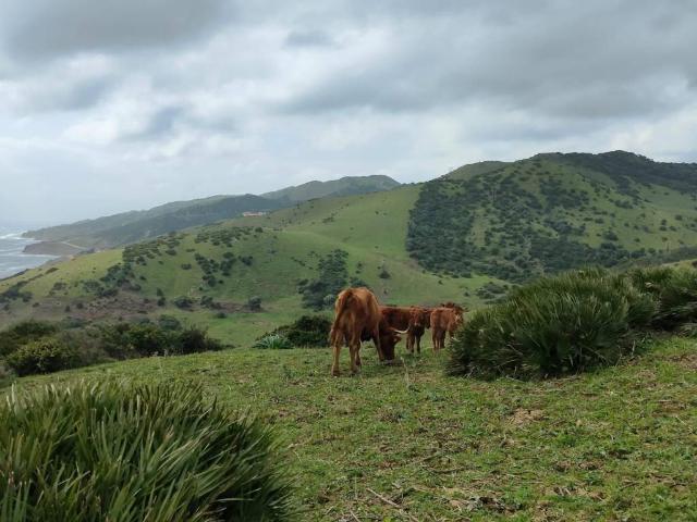 Terreno en Venta en Tarifa