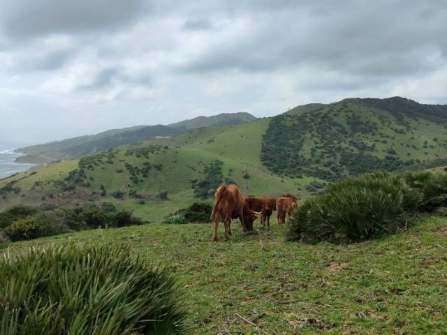 Terreno en Venta en Tarifa