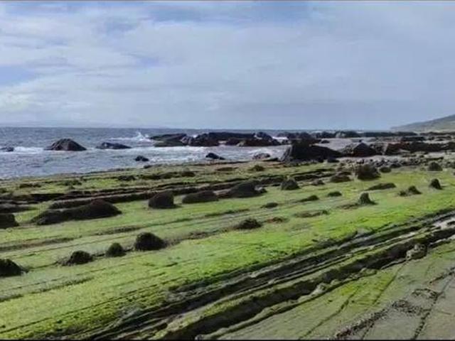 Terreno en Venta en Tarifa