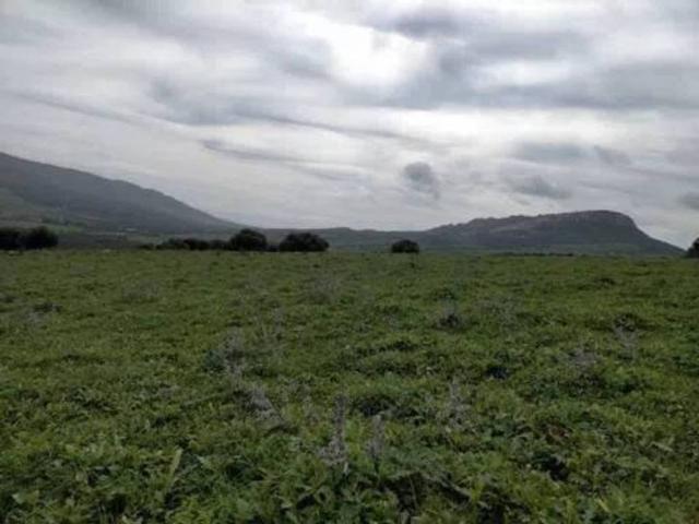 Terreno en Venta en Tarifa