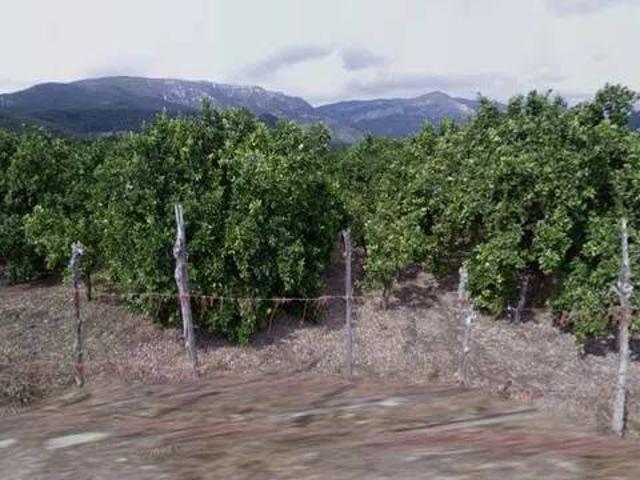 Terreno en Venta en Tavernes de La Valldigna