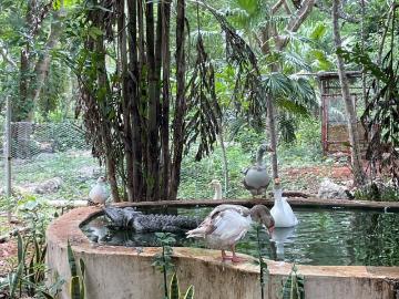 Terreno en venta en Tecoh, Yucatán