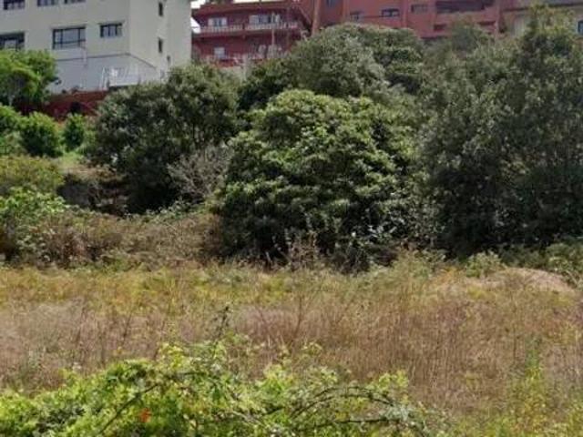 Terreno en Venta en Tegueste