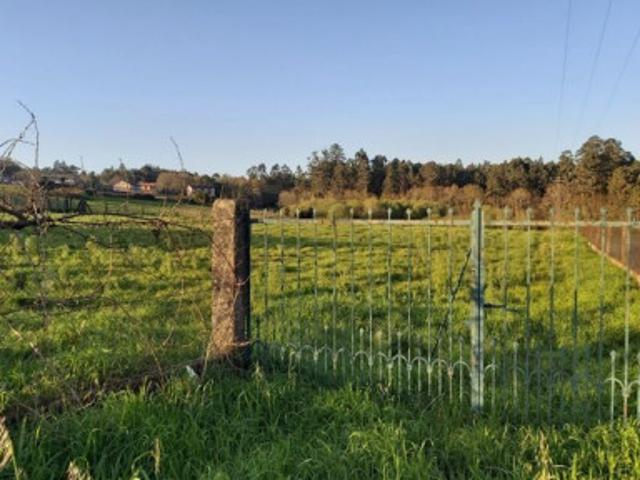 Terreno en venta en Teo, Oza