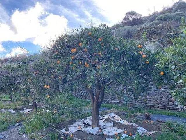 Terreno en Venta en Telde