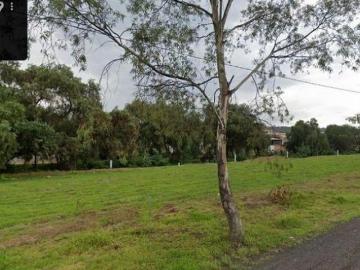 Terreno en venta en Temamatla, Estado de México