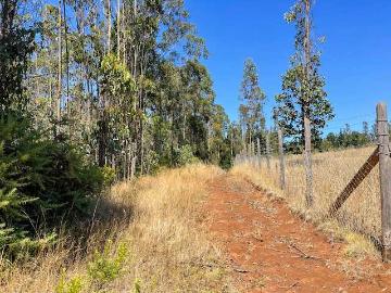Terreno en Venta en Temuco