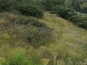 Terreno en venta en Tepotzotlán Centro, Tepotzotlán, México