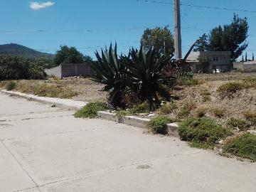 Terreno en venta en Tepeapulco Hidalgo centro
