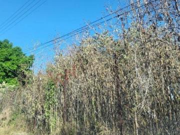 Terreno en venta en Tequesquitengo
