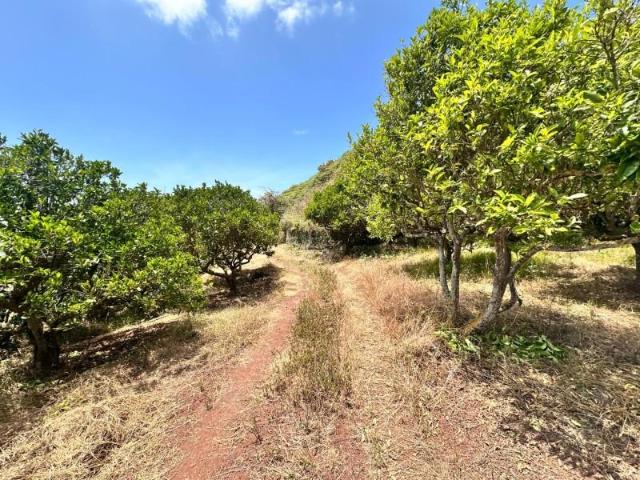 Terreno en venta en Teror, El Palmar