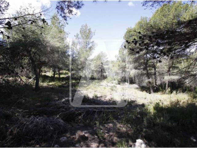 Terreno en Venta en Teulada