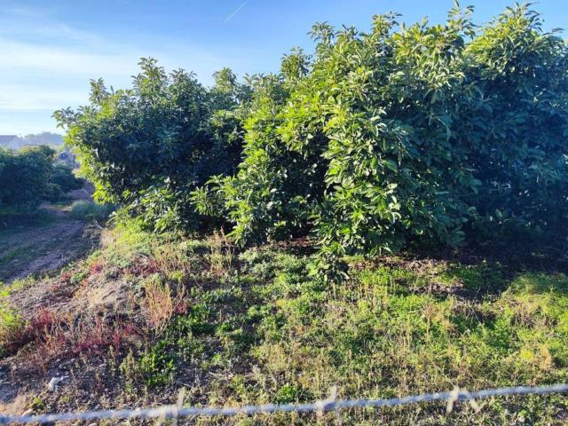 Terreno en Venta en Teulada