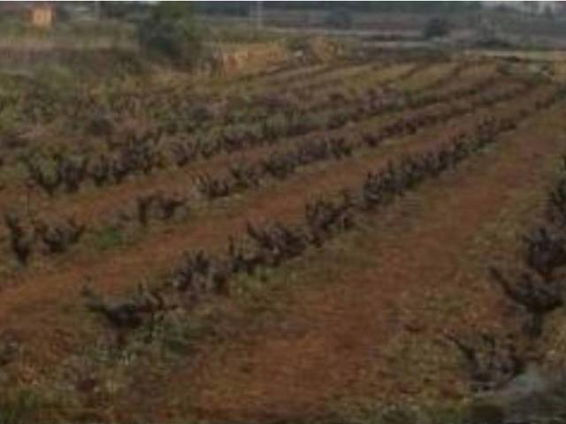 Terreno en Venta en Teulada