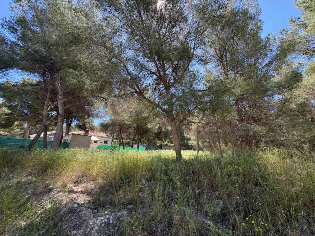 Terreno en Venta en Tibi