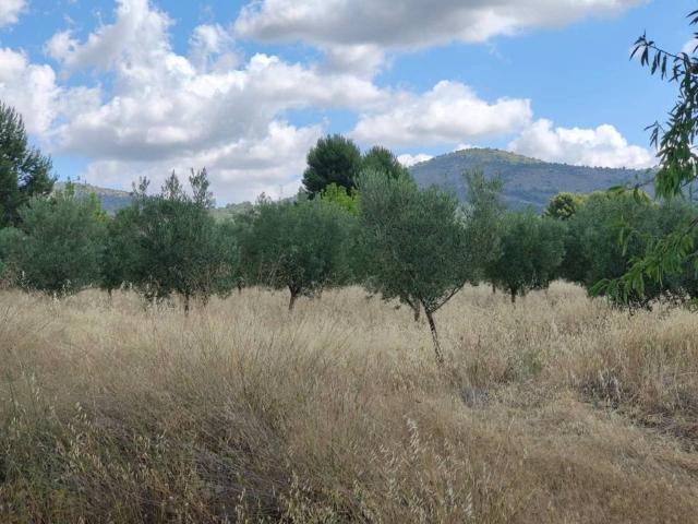 Terreno en Venta en Tibi