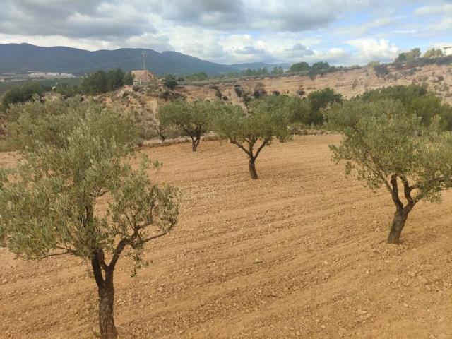 Terreno en Venta en Tibi