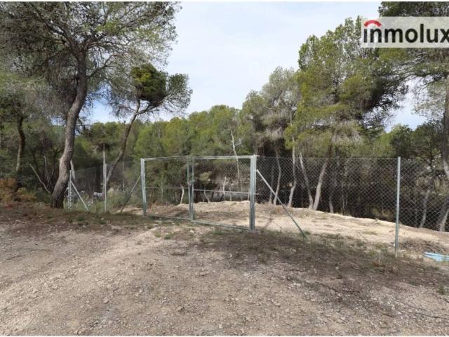 Terreno en Venta en Tibi